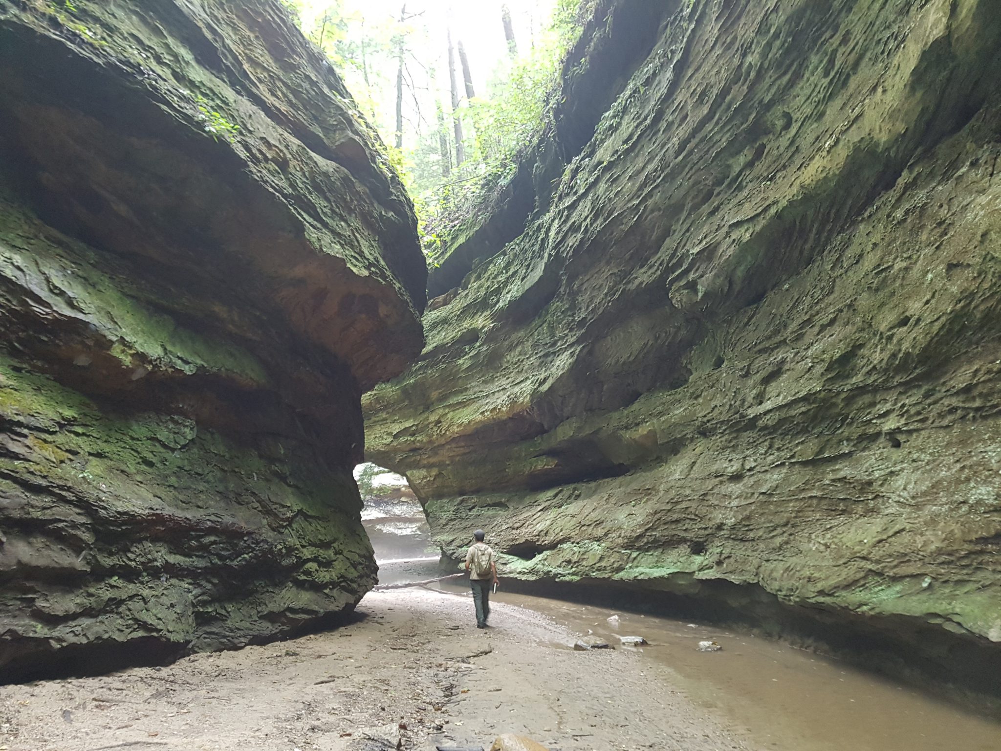 turkey run mountain bike trail