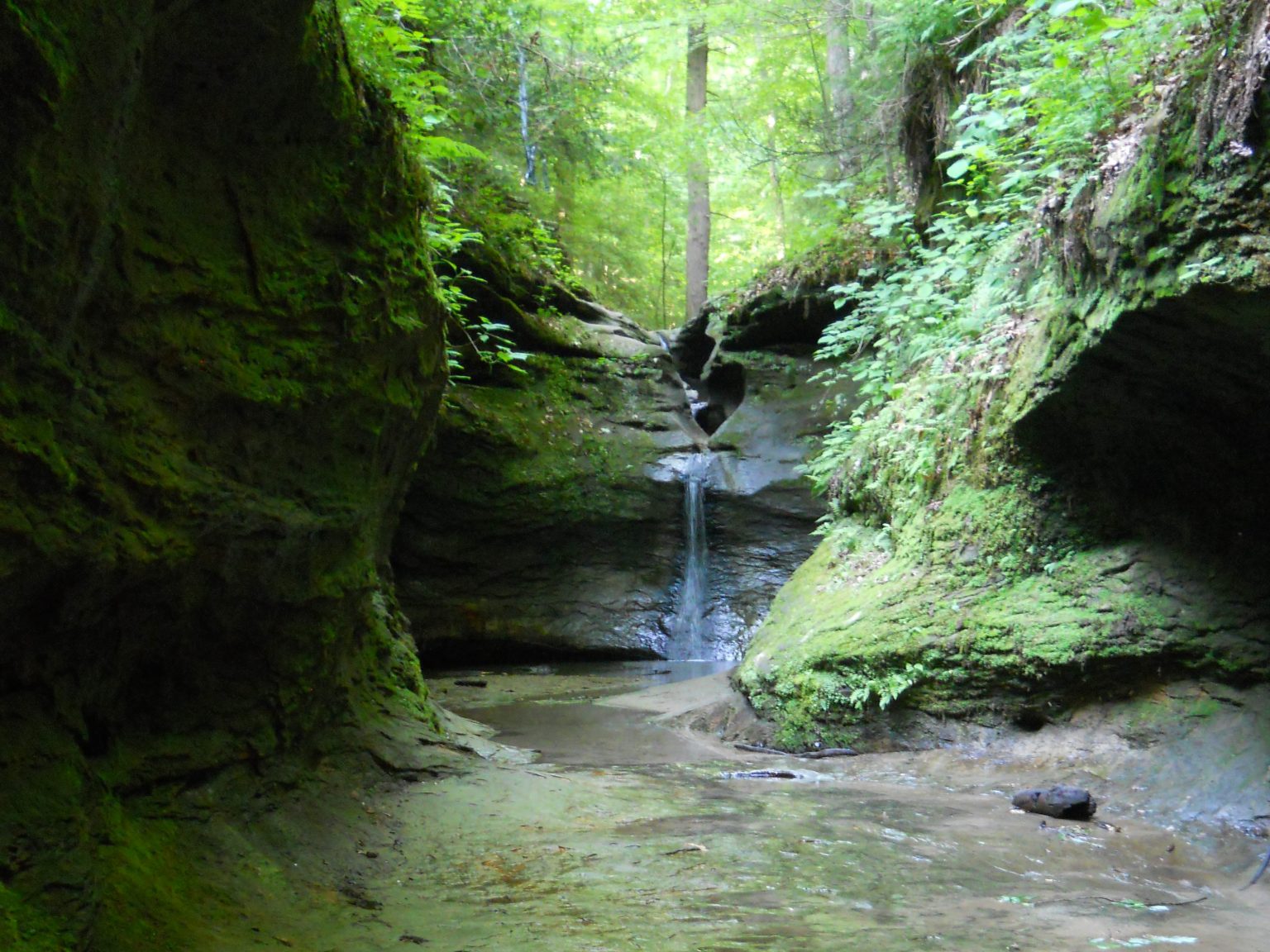 Turkey Run State Park Geology - Turkey Run State Park